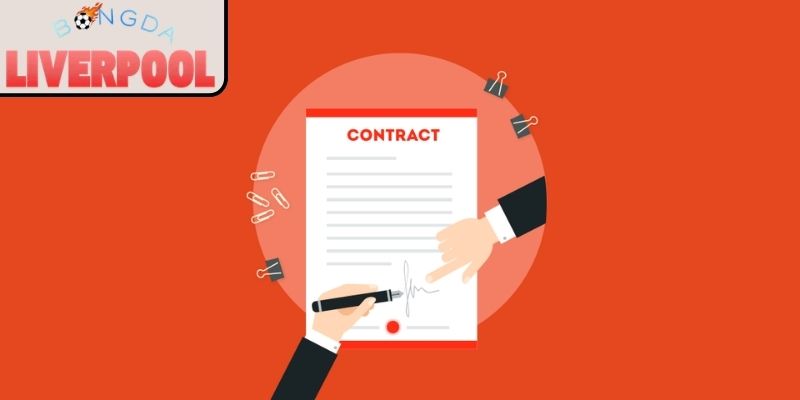 Trách nhiệm của ban quản trị trang web Bongdaliverpool