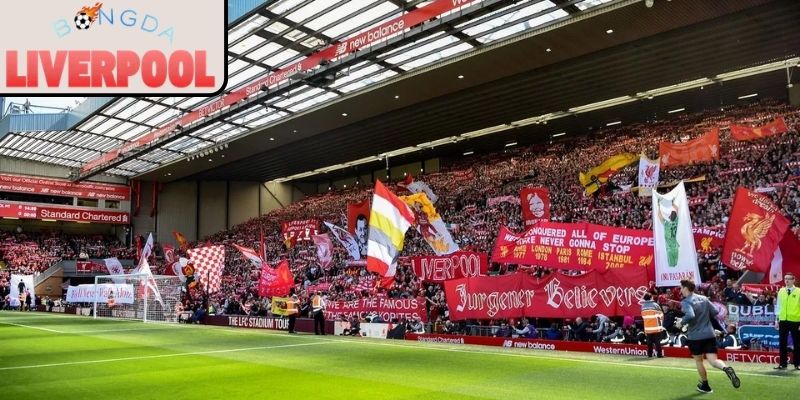 Fan Liverpool cuồng nhiệt và dấu ấn trên khán đài châu Âu
