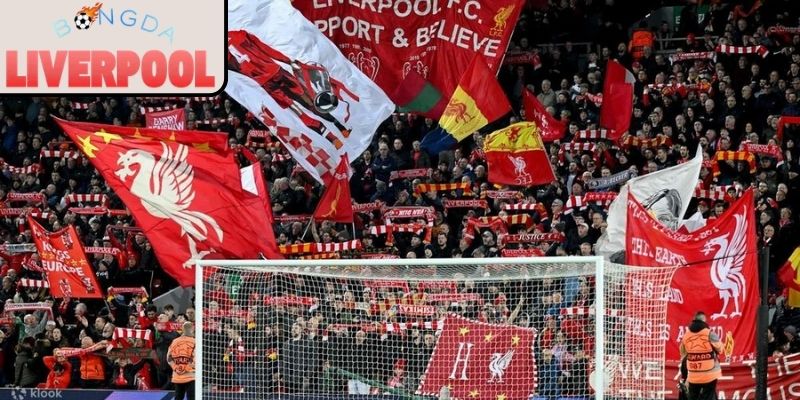 Niềm tin xuyên suốt qua nhiều thế hệ của fan Liverpool